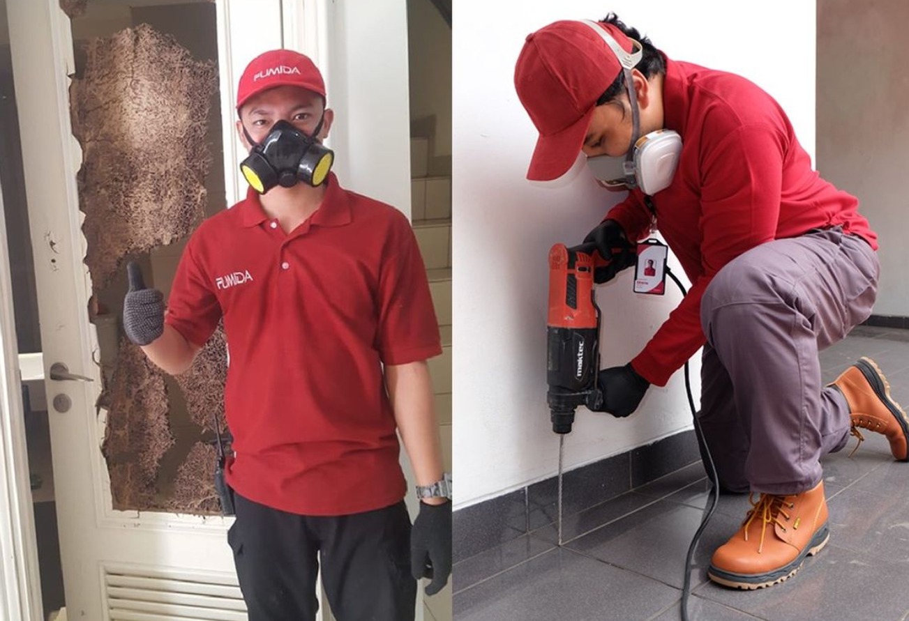 Cara Ampuh Basmi Rayap Termudah dan Dijamin Ampuh Hempaskan Rayap